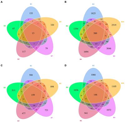 Exploring the microbial ecosystem of Berchemia polyphylla var. leioclada: a comprehensive analysis of endophytes and rhizospheric soil microorganisms